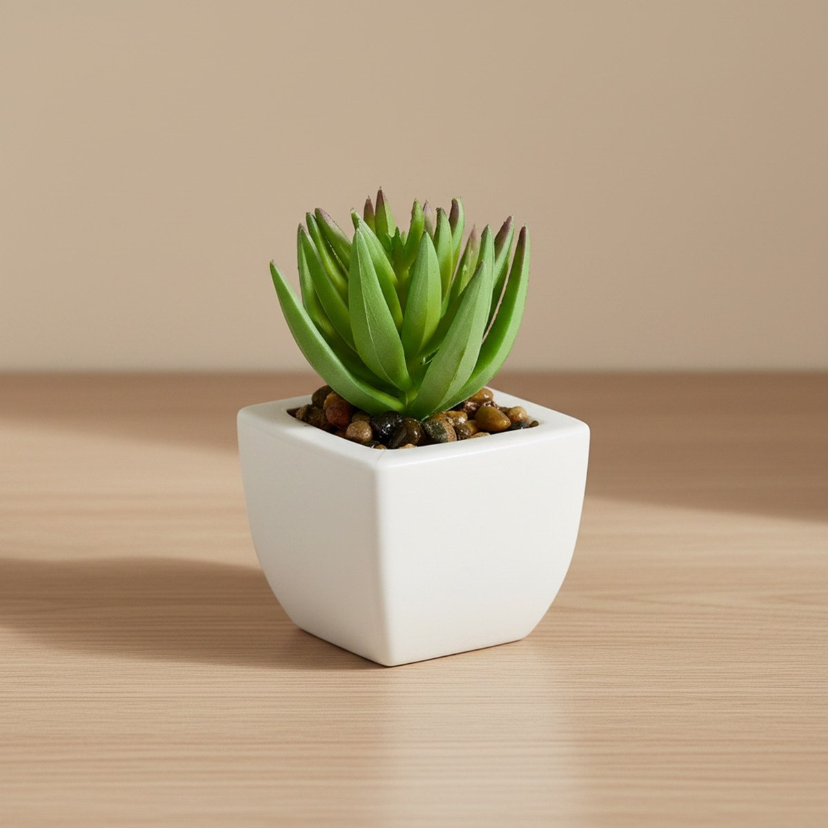Tant Artificial Succulent Potted Plant in Plastic Pot - 8.5 cm
