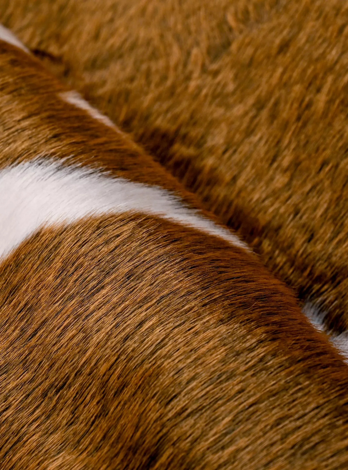 Faux Cow Hide Shaped Rug - 230x150 cm - Image 3