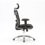 Sihoo M18 Office Desk Chair, Ergonomic Computer Office Chair with Adjustable Headrest and Lumbar Support,High Back Executive Swivel Chair Black