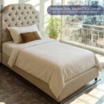 Arch Button Tufted Upholstered Single Bed Frame 120x200cm - Elegant Medium Size Bed with Padded Headboard - Classic Design with Soft Fabric Finish - Sturdy Base - Ideal for Kids, Guest Rooms & Compact Spaces