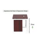 Mahmayi Vorm 136-16 Modern Workstation - Multi-Functional MDF Desk with Smart Cable Management, Secure & Robust - Ideal for Home and Office Use (With Mobile Drawer)(160cm, Apple Cherry)