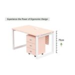 Mahmayi Vorm 136-14 Modern Workstation - Multi-Functional MDF Desk with Smart Cable Management, Secure & Robust - Ideal for Home and Office Use (With Mobile Drawer)(140cm, Oak)