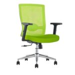 SleekLine T01B Medium Back Ergonomic Mesh Chair Green