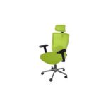 SleekLine T01B High Back Ergonomic Office Mesh Chair - Green