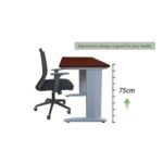 Stazion 1210 Modern Office Desk Apple Cherry