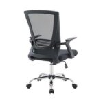 Ergonomic Computer Desk Chair for Office and Gaming, back comfort and lumbar support Black