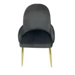 Maple Home Velvet Accent Dining Arm Chair Upholstered Comfortable Cushion Dining Living Room Furniture