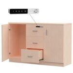 Mahmayi Carre 1147 Storage Cabinet with 3 Storage Drawer and 2 Side Door with Touch Screen Digital Lock ideal for Home and Office - Oak