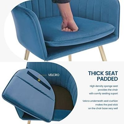 Mahmayi Elegant Velvet Dining Chair with Golden Metal Legs - Superior Fabric, Removable Washable Cushion, Sturdy Structure, 220lbs Weight Capacity (Blue-1PC) - Image 4