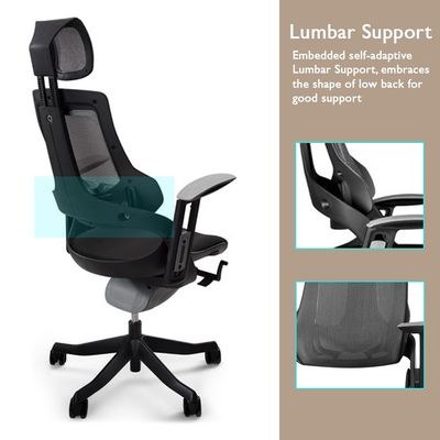 Mahmayi Robotto 609 High-Back Modern Ergonomic Mesh Chair with Adjustable Hight, Caster Wheels, and Lumbar Support Ideal for Home and Office - Black - Image 3