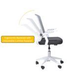 Arfan Ergonomic Office Chair with Lumbar Support, Thicker Cushion, 360-Degree Swivel, Adjustable Height, and Smooth Casters – Durable & Comfortable Desk Chair for Home and Office