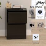 Godrej 2 Drawer Digital Filing Cabinet with Touch Screen Lock, Heavy-Duty Steel, and Scratch-Resistant Black Finish