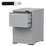 Godrej 2 Drawer Digital Filing Cabinet with Touch Screen Lock, Heavy-Duty Steel, and Scratch-Resistant Grey Finish
