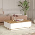 Home Canvas Future Coffee Table Pine and White
