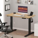 Flexispot Electric Standing Desk, 122 x 65cm Adjustable Height Desk with Sturdy Anti-Rust Steel Frame, Spacious Desktop and Memory Control Panel - Ideal for Home and Office - Coco Bolo