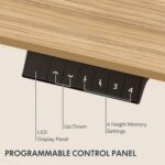 Flexispot Electric Standing Desk, 122 x 65cm Adjustable Height Desk with Sturdy Anti-Rust Steel Frame, Spacious Desktop and Memory Control Panel - Ideal for Home and Office - Coco Bolo