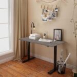 Flexispot Electric Standing Desk, 122 x 65cm Adjustable Height Desk with Sturdy Anti-Rust Steel Frame, Spacious Desktop Memory Control Panel - Ideal for Home and Office - Whiteriver Grey Oak