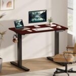 Flexispot Electric Standing Desk, 122 x 65cm Adjustable Height Desk with Sturdy Anti-Rust Steel Frame, Spacious Desktop and Memory Control Panel - Ideal for Home and Office - Apple Cherry