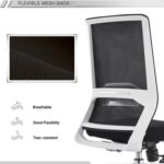 Mahmayi SL 518 Low Back Mesh Chair for Home and Office Adjustable Armrests and Backrest Modern Chair without Headrest Ergonomic Task Chair - Black and White