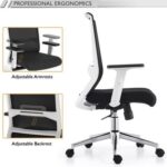 Mahmayi SL 518 Low Back Mesh Chair for Home and Office Adjustable Armrests and Backrest Modern Chair without Headrest Ergonomic Task Chair - Black and White
