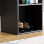 Bookcase and accessory Display Unit of wood 2Tier Black