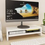 Compact Monitor Stand Riser with Storage Shelf-Ergonomic Desk Organizer-White