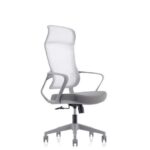 SkyLand Ergonomic High-Back Office Chair with Lumbar Support and Breathable Mesh - Adjustable Comfort - for Home Office and Executives (Grey)