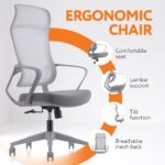 SkyLand Ergonomic High-Back Office Chair with Lumbar Support and Breathable Mesh - Adjustable Comfort - for Home Office and Executives (Grey)