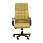 Executive Ergonomic Desk Chair Yellow for Office
