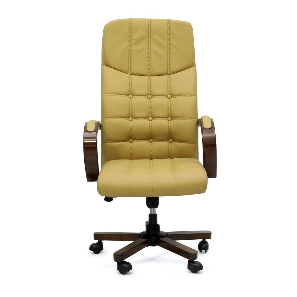 Executive Ergonomic Desk Chair Yellow for Office
