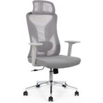 Grey Ergonomic Office Chair with Lumbar Support