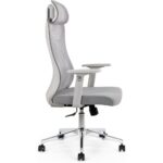 Grey Ergonomic Office Chair with Lumbar Support
