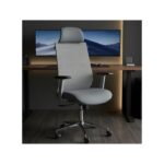Ergonomic Office Chair, Computer Chair Desk Chair High Back Chair Breathable, Skin-Friendly Mesh Chair Adjustable 3D Armrest and Lumbar Support