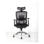 Ergonomic Full Mesh Office Chair for Adults