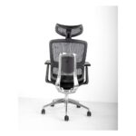 Ergonomic Full Mesh Office Chair for Adults