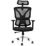 Black Ergonomic Office Chair for Home Office