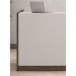 Nitzan Office Reception Desk with Storage Drawers & Cable Management – Wooden Front Counter Table with Mobile Pedestal – Brown & Khaki (140X110X60 CM)