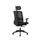 Ergonomic Mesh Office Chair with Adjustable Headrest, Armrest & Chrome Base – Black
