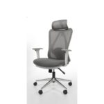 Ergonomic Mesh Office Chair with Adjustable Headrest, Armrest & Chrome Base – grey