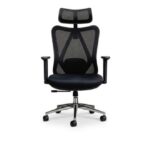 Ergonomic Mesh Office Chair with Adjustable Headrest, Armrest & Chrome Base – Black