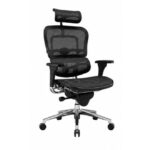 Ergonomic Mesh Office Chair with Adjustable Headrest, Armrest & Chrome Base – Black