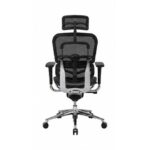 Ergonomic Mesh Office Chair with Adjustable Headrest, Armrest & Chrome Base – Black