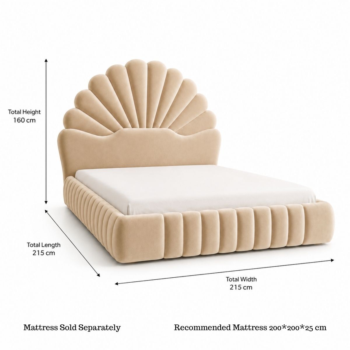 Wooden Twist Amara Shell Luxe Beige Velvet Upholstered Bed with Scallop Headboard Design - Image 5