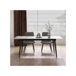 Tabrez Dining Table 4 seater Rectangular Dining Set | Sturdy Kitchen Marbel Top Table with Pu Leather Chairs | Dining set 1+4 Seater for Home, Dining Room GREY