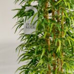 Bamboo Artificial Plant