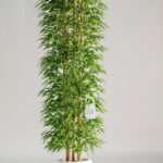 Bamboo Artificial Plant