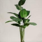 Strelitzia Artificial Tree