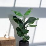 Strelitzia Artificial Tree