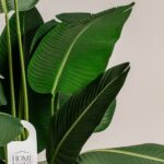 Strelitzia Artificial Tree