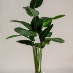 Strelitzia Artificial Tree